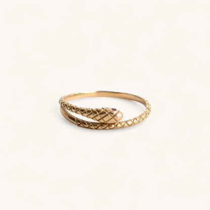 Ethernal Snake Ring